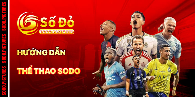 Hướng Dẫn Cách Chơi Thể Thao SODO