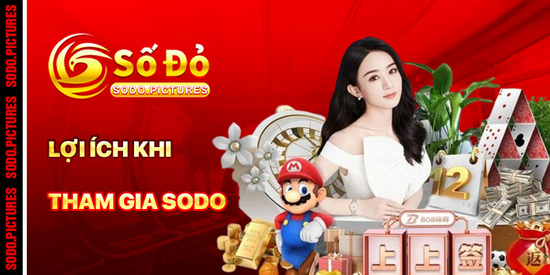 Lợi Ích Khi Tham Gia SODO