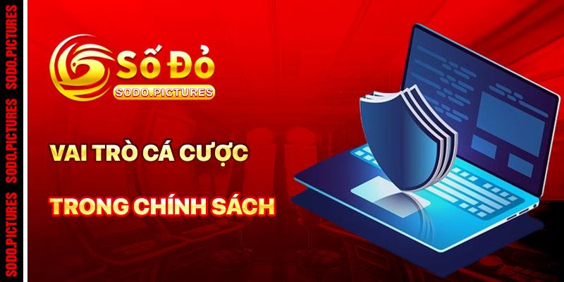 Chính Sách Và Vai Trò Cá Cược Đối Với Người Chơi