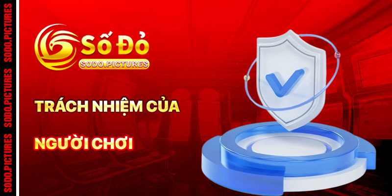 Trách Nhiệm Của Người Chơi Trong Chính Sách Bảo Mật SODO