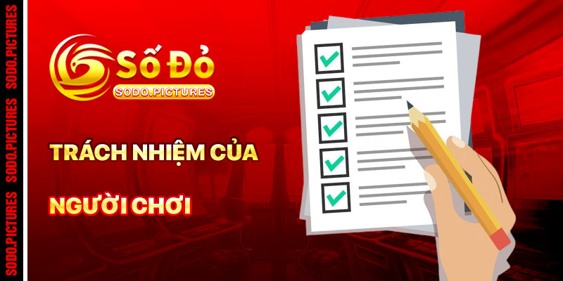 Trách Nhiệm Của Người Chơi Trong Điều Khoản SODO