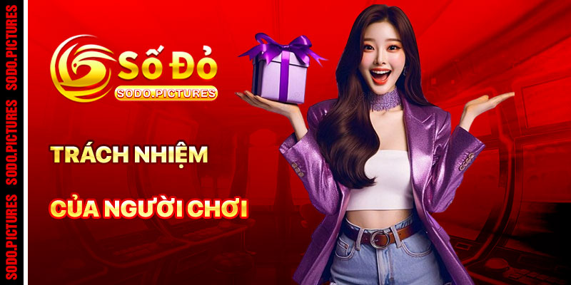 Trách Nhiệm Của Người Chơi